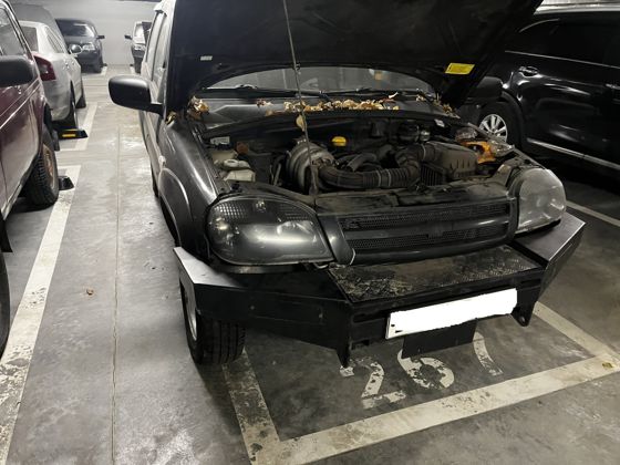 CHEVROLET NIVA, 2019 года выпуска