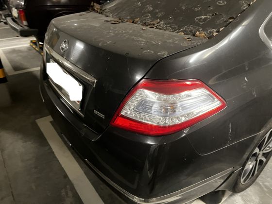 Nissan TEANA, 2011 года выпуска
