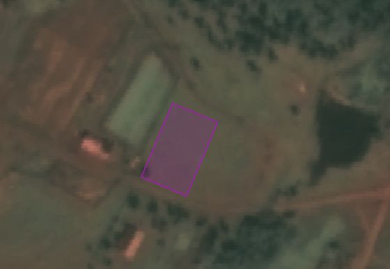 Предоставление по договору аренды земельного участка из земель населенных пунктов,  площадью 5000 кв.м., кадастровый номер 38:15:120101:495, адрес: Российская Федерация, Иркутская область, муниципальный район Тулунский, сельское поселение Писаревское, поселок отделение № 1 Государственной селекционной станции, улица Лесная, земельный участок 5, основной вид разрешенного использования: для ведения личного подсобного хозяйства