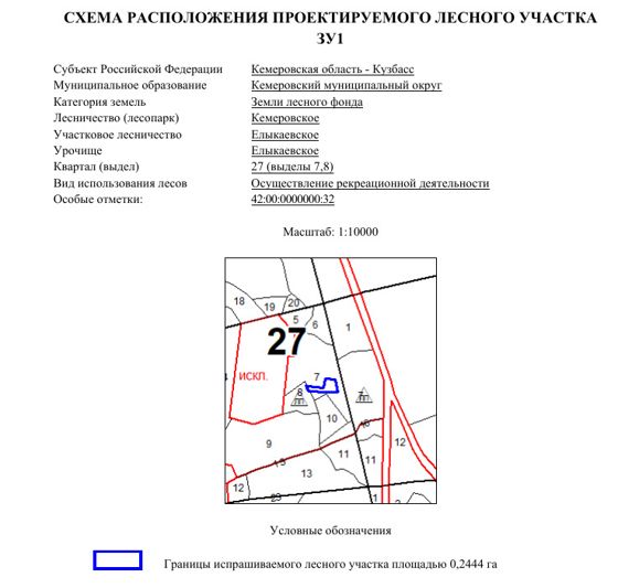 Аукцион на право заключения договора аренды лесного участка для осуществления рекреационной деятельности в Кемеровском лесничестве