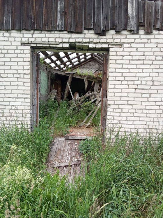 Здание фермы на земельном участке