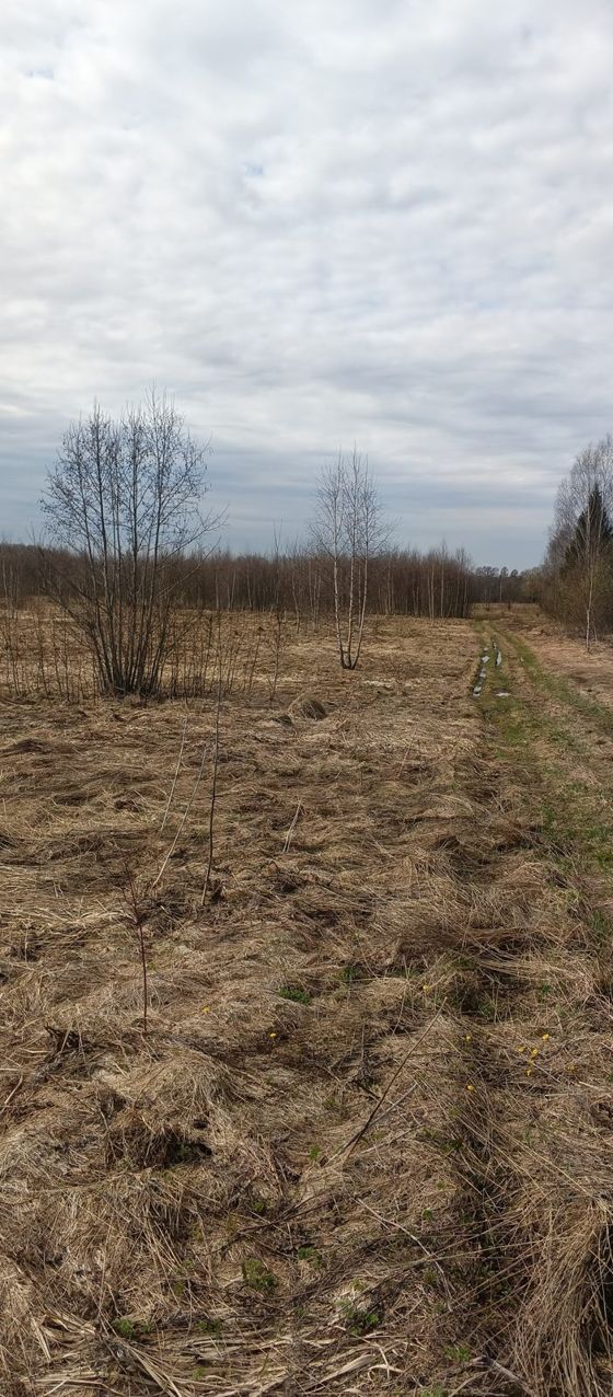 Публичные торги по продаже земельного участка с КН 50:12:0010406:171