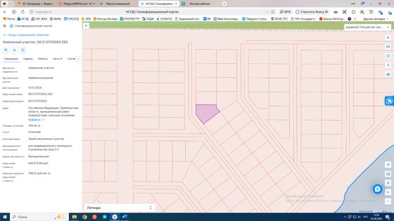 земельный участок с кадастровым номером 56:21:0703002:282, общей площадью 744 кв.м