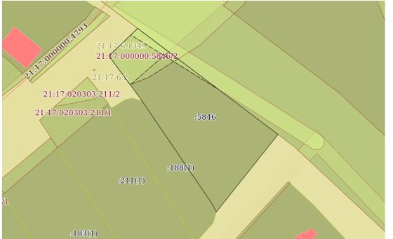 земельный участок из категории «земли населенных пунктов» с кадастровым номером 21:17:000000:5846, расположенный по адресу: Чувашская Республика - Чувашия, муниципальный округ Моргаушский, деревня Тренькино, вид разрешенного использования: Для ведения личного подсобного хозяйства (приусадебный земельный участок), общей площадью 999 кв.м.