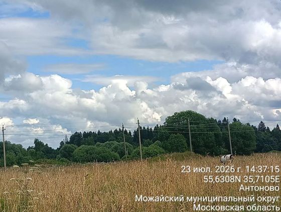 земельный участок 50:18:0040111:1194 площадью 982 кв.м, категория земель: Земли населенных пунктов, вид разрешенного использования: для ведения личного подсобного хозяйства (приусадебный земельный участок), государственная собственность на который не разграничена, расположенный по адресу: Московская область, Можайский городской округ, деревня Антоново