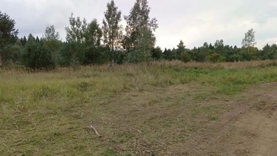 Предоставление в аренду  земельного участка с КН 60:07:0160301:120 в д. Жижица