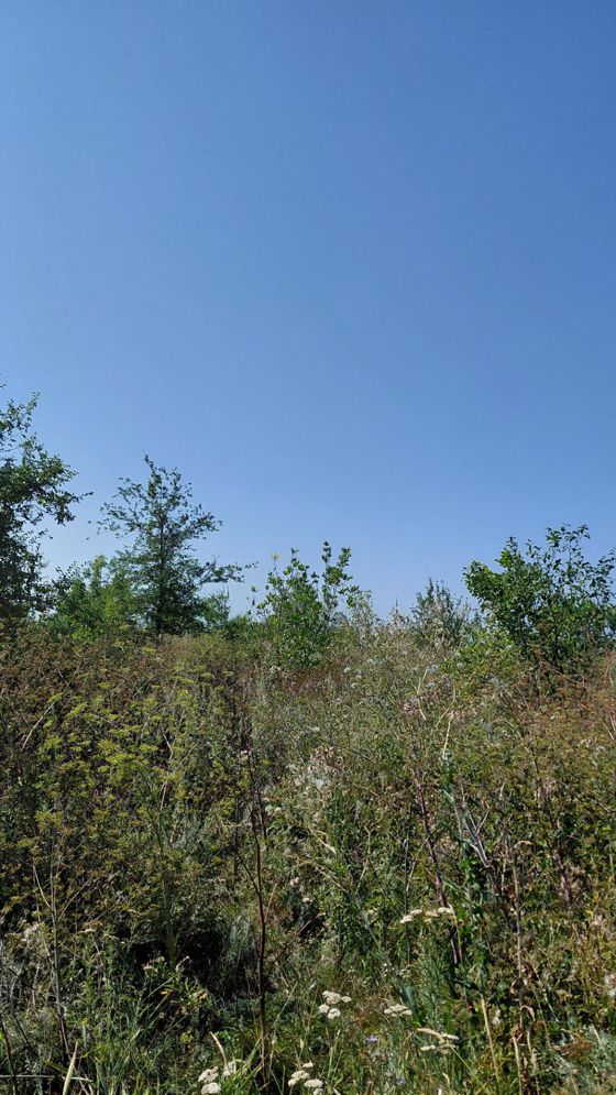 Право заключения договора аренды земельного участка