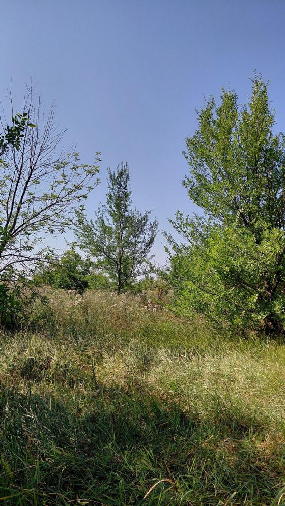 Право заключения договора аренды земельного участка