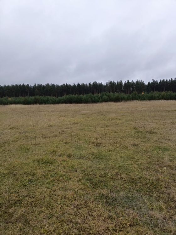 Земельный участок с кадастровым номером 33:06:062601:223