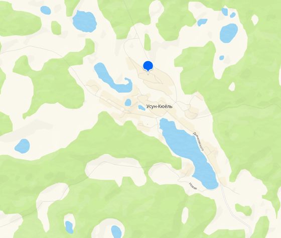 Земельный участок, площадь2226, кад.№14:33:009001:668, участок сухой, ровный, огорожен частично, со стороны улицы огорожен профлистом, адрес: с. Усун – Кюель, ул. Стадионная, д. 4, Чурапчинского района, РС(Я). Собственник Говорова М.Р.(общая долевая собственность).