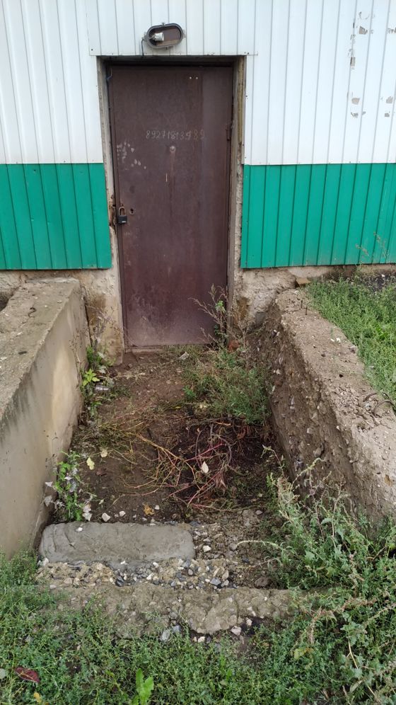 Нежилое помещение