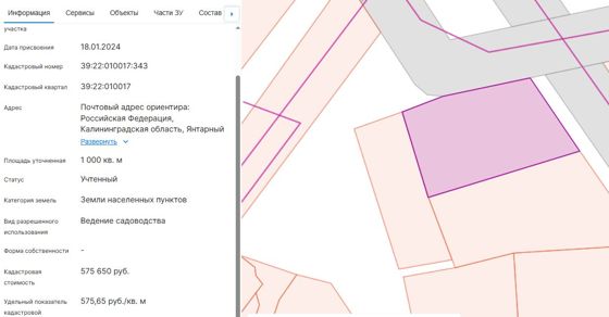 предоставление в собственность земельного участка с кадастровым номером 39:22:010017:343