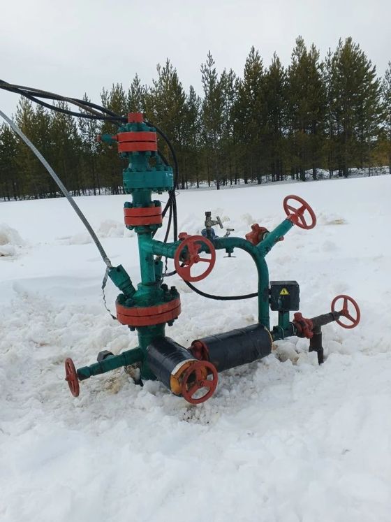 Сооружение-Выинтойская скважина №194, назначение: сооружение нефтяных месторождений, глубина 3150 метров, РНФИ П12840000649, кадастровый номер 86:03:0090202:5119, расположенное по адресу: Россия, Ханты-Мансийский автономный округ - Югра, р-н Сургутский, Выинтойская площадь, скважина №194.