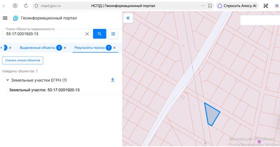Земельный участок с кадастровым номером 53:17:0201920:13