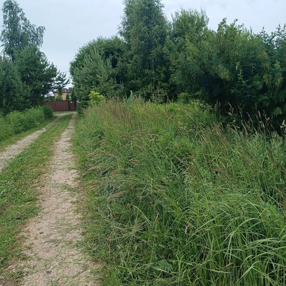 Аукцион в отношении земельного участка с КН 50:32:0080219:1388