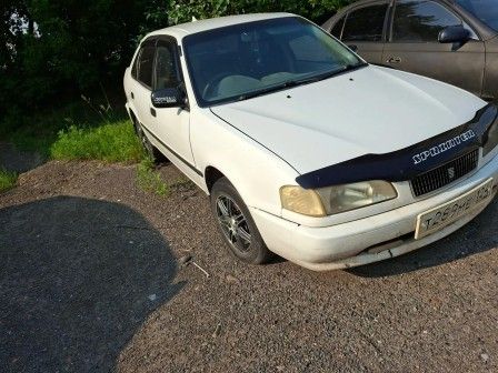 Автомобиль Тойота Спринтер, г/н Т289МЕ124, 1998г.в., № кузова ЕЕ111 3098507. Рабочее состояние, и комплектность автомобиля не проверялось. Находится в г. Красноярск, данное имущество обращено в доход государства (Документы, ключи отсутствуют). (31/26)