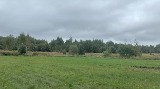 Аукцион в отношении земельного участка с КН 50:14:0010208:601