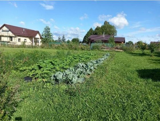 Аукцион в отношении земельного участка с КН 50:04:0280118:408