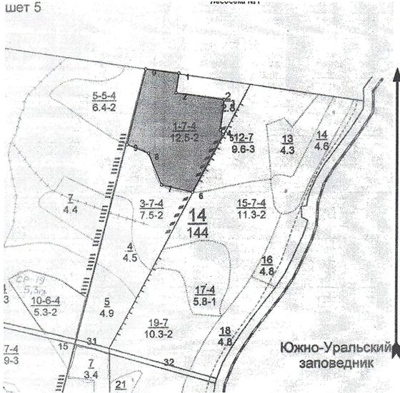 Лесные насаждения расположенные на территории: Республика Башкортостан, Инзерское лесничество, Дубинское участковое лесничество, квартал № 14, выдел 1 делянка 1