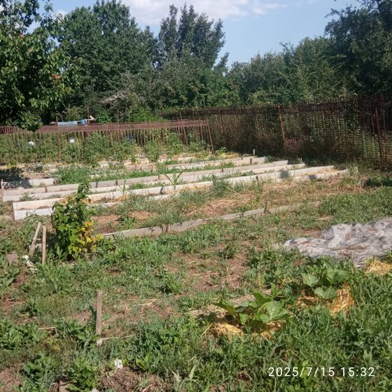 Земельный участок, находящийся в собственности муниципального образования «Город Волгодонск», из категории земель населенных пунктов, с кадастровым номером 61:48:0070301:468, площадью 399 кв.м.,  расположенный по адресу: Ростовская область,  г. Волгодонск, Садоводческий кооператив «Мирный атом», ул. 13, уч. 11, с видом разрешенного использования «садоводство».
