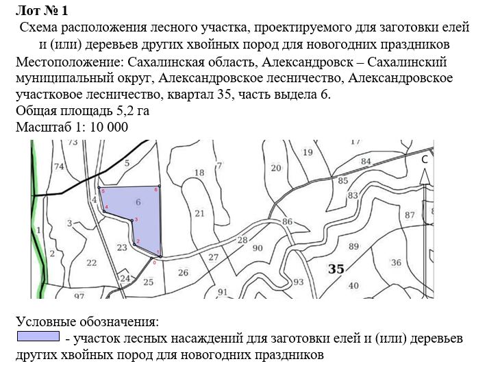 Право заключения договора купли-продажи лесных насаждений для заготовки елей и (или) деревьев других хвойных пород для новогодних праздников в границах земель лесного фонда Александровского лесничества