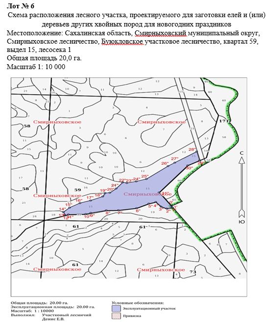 Право заключения договора купли-продажи лесных насаждений для заготовки елей и (или) деревьев других хвойных пород для новогодних праздников в границах земель лесного фонда Смирныховского лесничества.