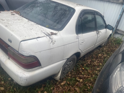 Автомобиль TOYOTA COROLLA, г/н Е816ТС124, 1992 г.в., кузов № СЕ1003012089, двигатель № 2063781, цвет белый комплектность и состояние  не проверялась данное имущество обращено в доход государства, находится в г Канск (Документы и ключи отсутствуют)