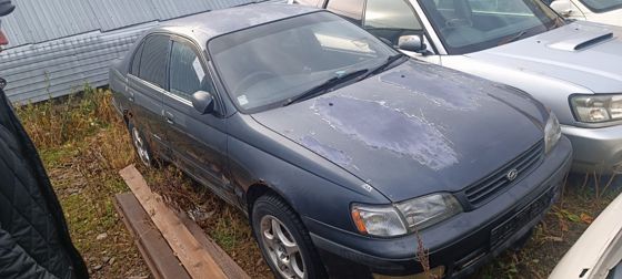 Toyota Corona
