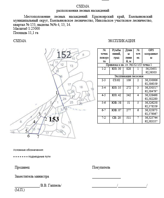 Право на заключение договора купли-продажи лесных насаждений с субъектами малого и среднего предпринимательства на территории Никольского участкового лесничества, Емельяновского лесничества, Емельяновского муниципального округа, Красноярского края