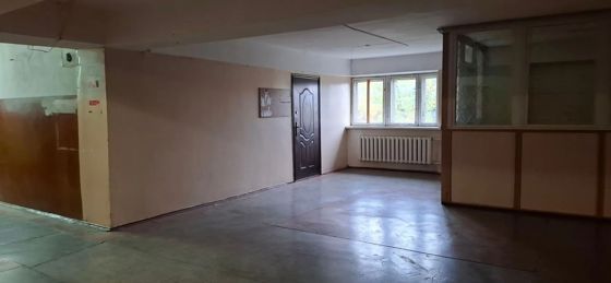 Аренда нежилого помещения 40,1 м², с. Мильково, Камчатский край