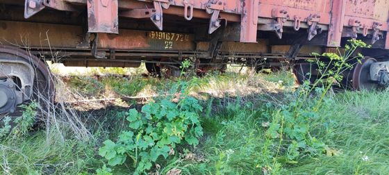 Полувагон 4-осный с люками в полу без тормозной площадки