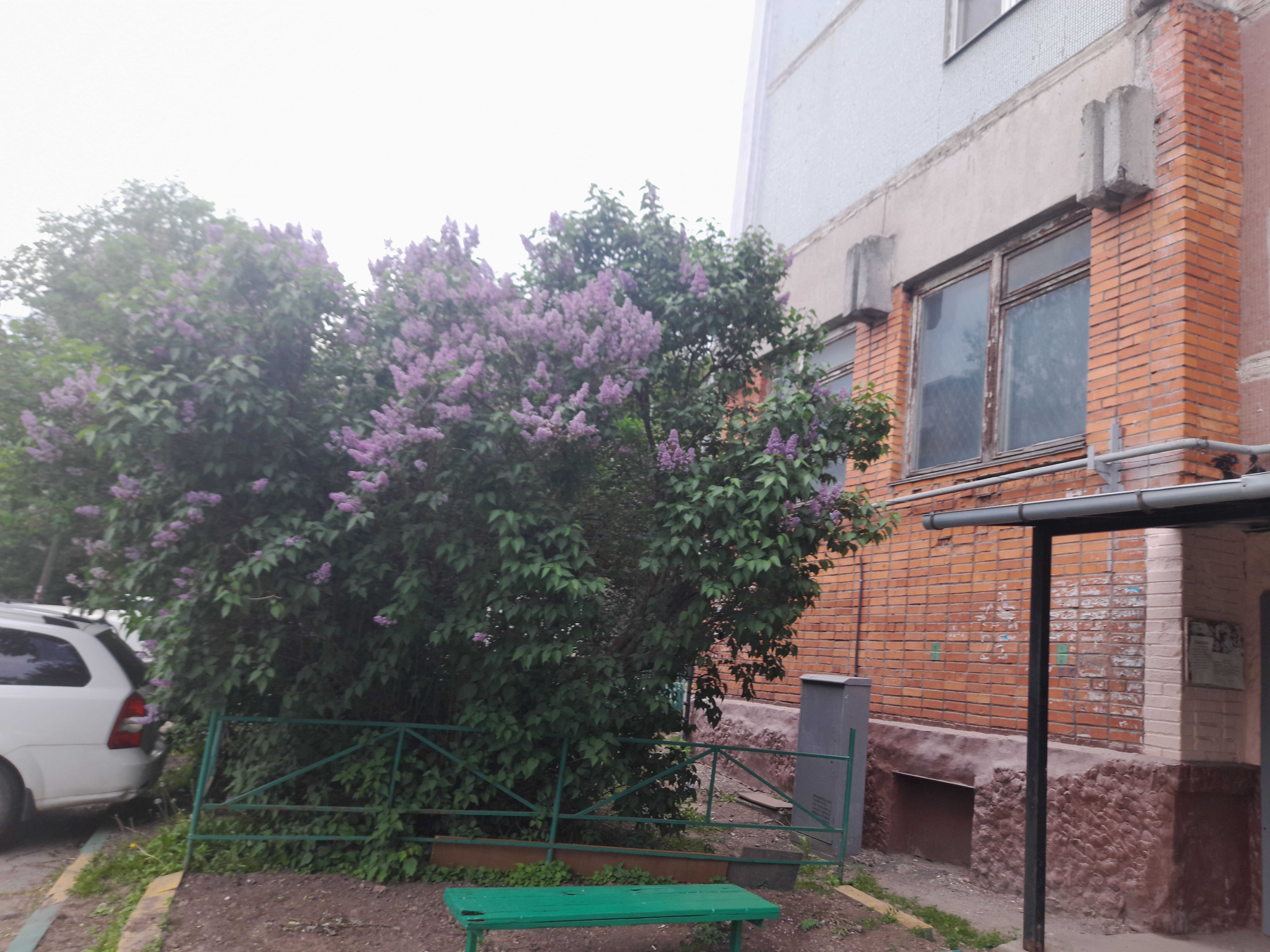 Аренда нежилого помещения 112,6 м², Тула