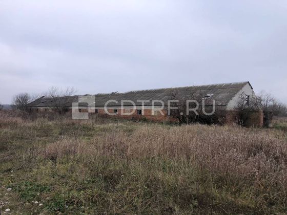 Нежилое здание 769,4 м², д. Случок, Брянская обл.