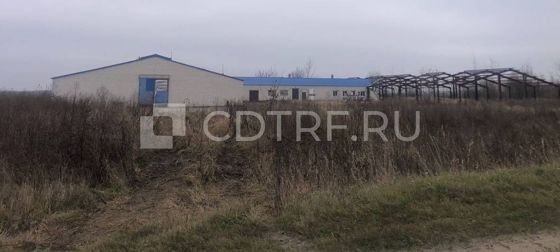 Нежилое здание 1 381,8 м², Брянская обл.