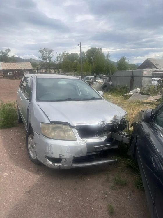 Toyota Corolla Fielder, 2006