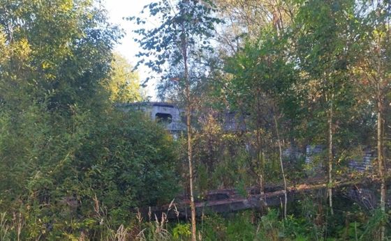 Нежилое здание 1 016,9 м², Новгородская обл.