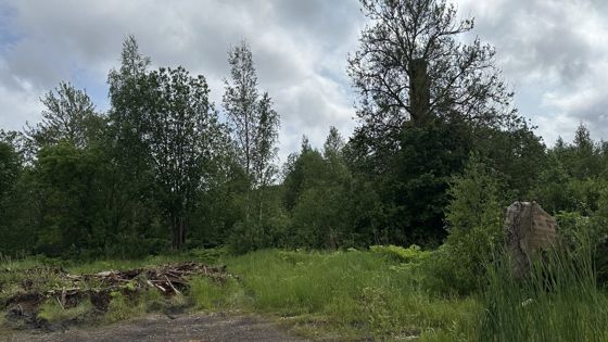 Нежилое здание 1 112,5 м² с участком, Новгородская обл.
