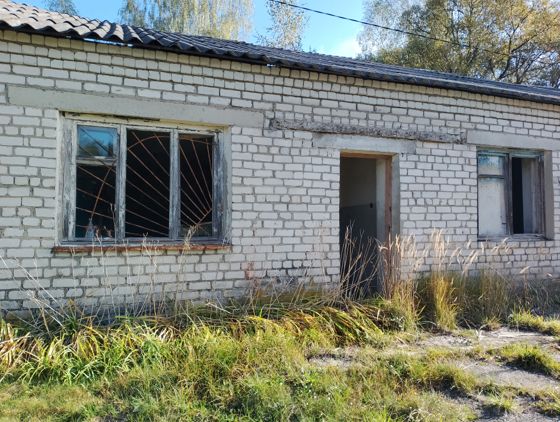 Нежилое здание 158,1 м² с участком, д. Новая Осиновка, Брянская обл.