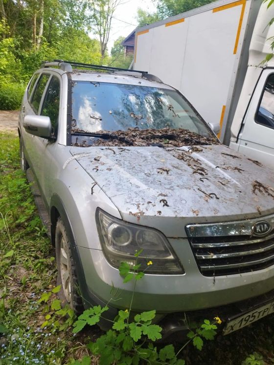 KIA QLE, 2009