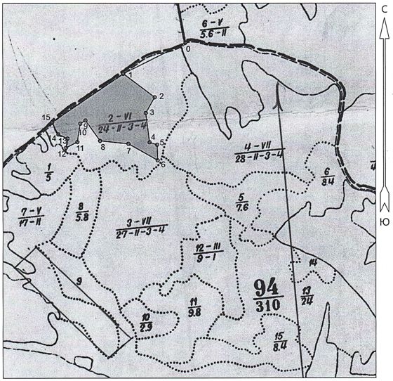 Лесные насаждения, Томская обл.