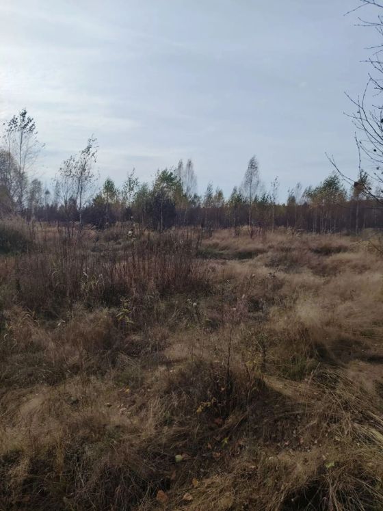 Аренда земельного участка 85 сот., сельхозназначение, с. Инякино, Рязанская обл.