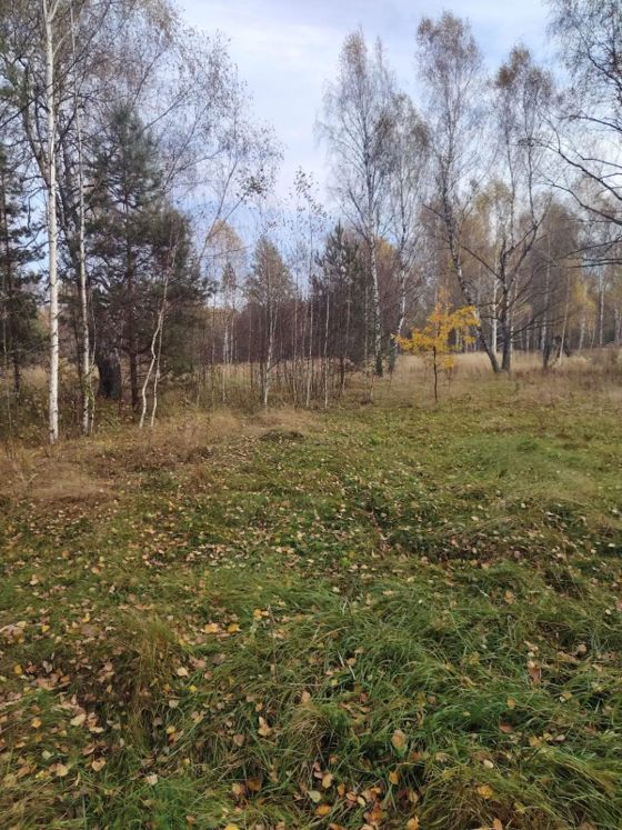 Аренда земельного участка 3,5 га, сельхозназначение, с. Инякино, Рязанская обл.