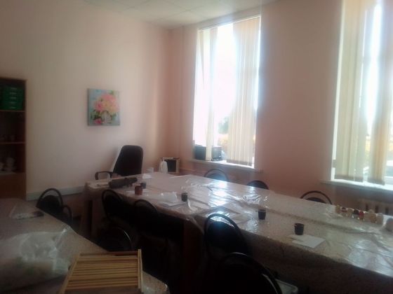 Аренда нежилого помещения 20,5 м², Псков