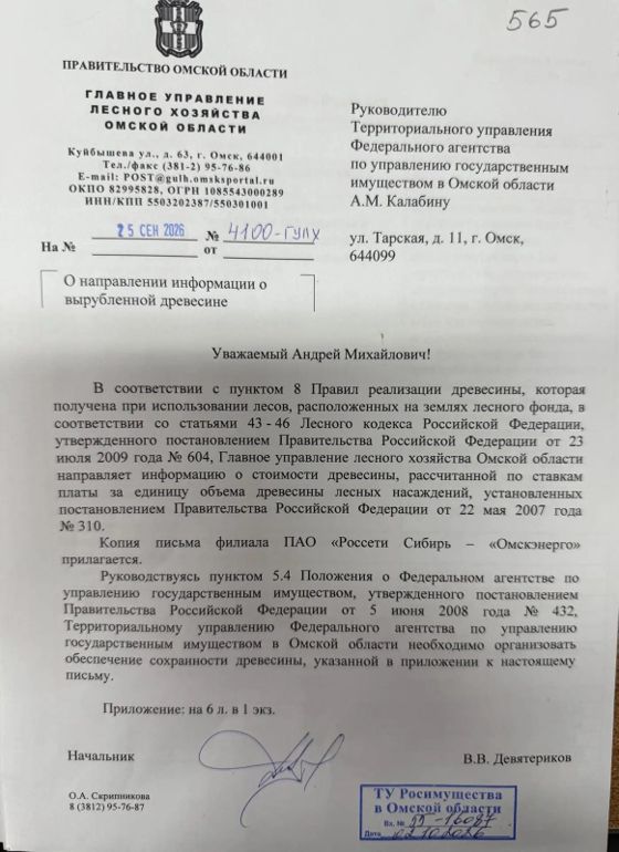 Древесина, 47 м³