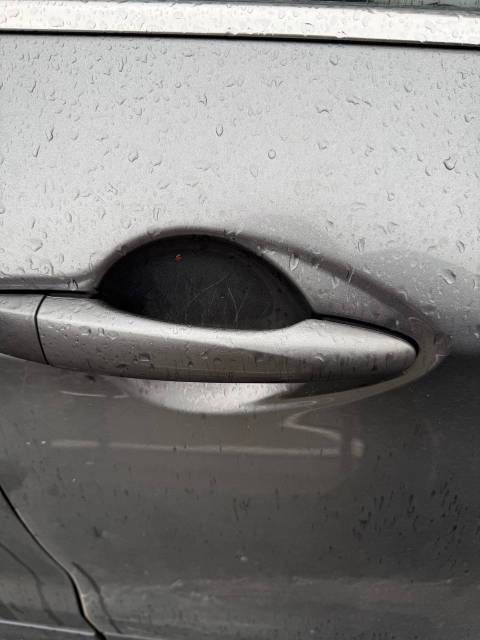Nissan Qashqai, 2019