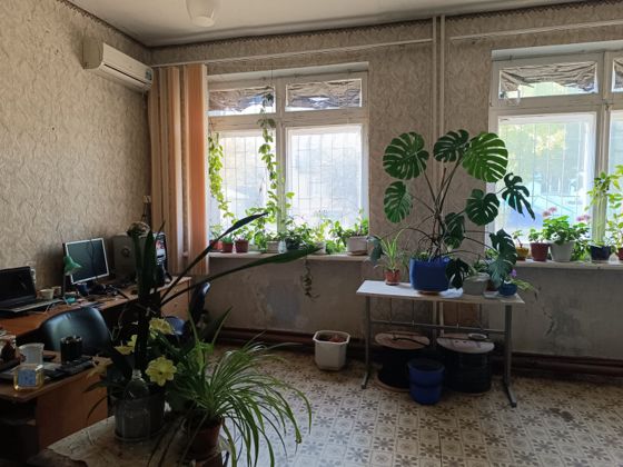 Аренда нежилого помещения 32,5 м², Петровское