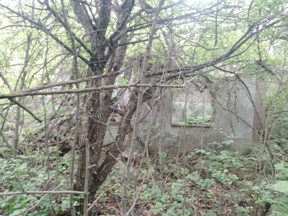 Садовый дом 10,1 м² с участком, Воронежская обл.