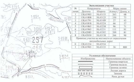 Лесные насаждения, Хабаровский край