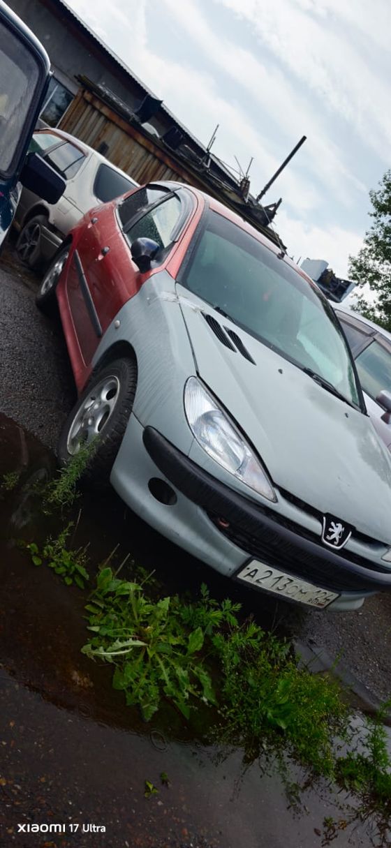 Peugeot 206, 2000