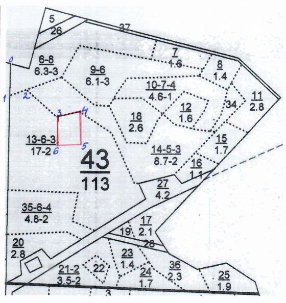 Лесные насаждения, Татарстан